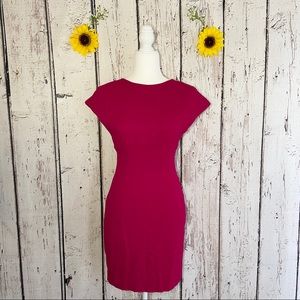EVAN PICONE magenta fit and flare size 6 dress